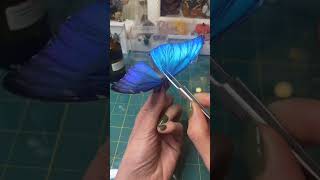 Another butterfly pinning method Morpho butterfly trending trendingshorts butterfly [upl. by Anilra]