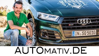 Audi SQ5 30 V6 TFSI Offroad im Test  Fahrbericht  AUTOmativde [upl. by Gustave]