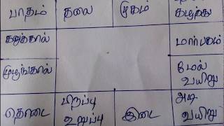 Rasi Chart Basics  ராசி கட்டம்  Rasi Kattam in Tamil [upl. by Naida]