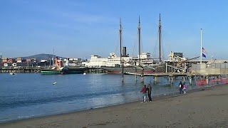 Sea Lion Attacks Swimmer at SF Aquatic Park [upl. by Pepper692]