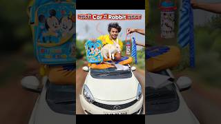 चलती Car मे खरगोश🐰पालना 🤣 rabbit comedy [upl. by Nanaj]