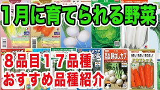 １月に野菜育てられる野菜 おすすめ品種紹介 [upl. by Anoit]