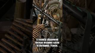 A recently discovered German weapons cache in Normandy France [upl. by Priest734]