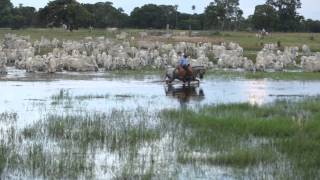 Filme  PANTANAL [upl. by Horan]