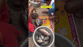 ✨Today ✅Hogenakkal River🌊 Jalebi🐠 Fish jalebi selling viral ontrending shortsfeed [upl. by Davidde]