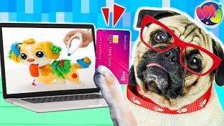 🐶 Mi PERRO se compra JUGUETES por INTERNET 🤓 👀 [upl. by Alasdair]