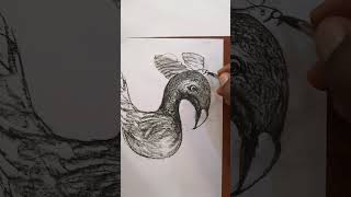 Padlock to bird drawing [upl. by Alana255]