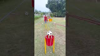 football accuracy and a whole lot of fun [upl. by Cedar]