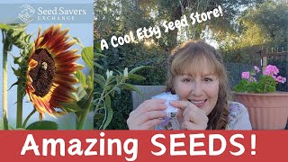 SEED Catalogs amp a Seed HAUL Where to Buy Great Seeds and Plants [upl. by Acus]