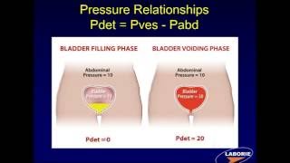 LABORIE Webinar Series Components of Urodynamic Testing [upl. by Kane]