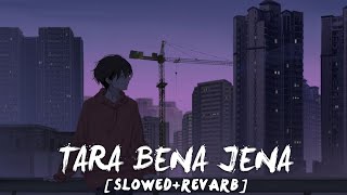 TERE BINA JENA SAJA HO GAYA LOFI  SLOWED  REVARB SONG NASA HO GAYA VE TENNU [upl. by Arol886]