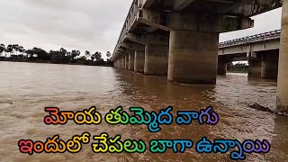 మోయ తుమ్మెద వాగు బాగా🐟yatala shankar vlogs యాటల శంకర్ వీడియో🐟 [upl. by Brier335]