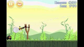 Angry Birds Philadelphia Eagles Gameplay Live [upl. by Shaylah]