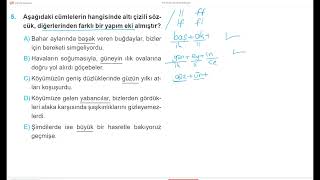 TÜRKÇE DİLBİLGİSİ BİR SORU BİR CEVAP 29 [upl. by Yoo]