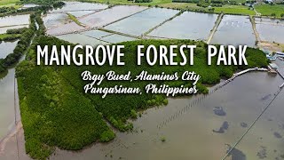 MANGROVE FOREST PARK  Alaminos City Pangasinan  Travel Video  Guide [upl. by Annaeg]