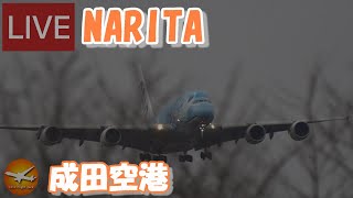 🔴LIVE at NARITA International Airport Plane Spotting 20240405 成田空港ライブカメラ 成田空港 NRTRJAA [upl. by Terhune]