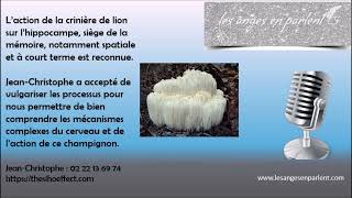 Soutien immunitaire  Mémoire  Pensez à la quotcrinière de lionquot super champignon [upl. by Taddeusz]