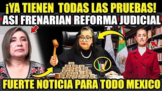 RECIBE LLAMADA DE CLAUDIA ¡ADIOS NORMA PIÑA ES OFICIAL YA SE VA ESTE MES MEXICO Y AMLO FELICIDAD [upl. by Ennovehs]