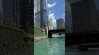 Chicago River Cruise [upl. by Nnovahs484]