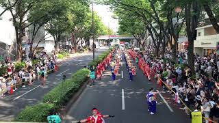 十人十彩 原宿表参道元氣祭スーパーよさこい2019 表参道演舞 [upl. by Onitrof45]