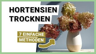 Hortensien trocknen 7 EINFACHE Methoden [upl. by Ahsemaj549]