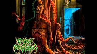 Cease Of Breeding Sounds Of Disembowelment Full Album 2010 [upl. by Anabahs]