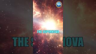 Can a Star Survive Supernova Explosion ZOMBIE shorts science space [upl. by Aicnelev575]