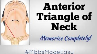 Anterior Triangle of Neck  MEMORIZE COMPLETELY [upl. by Katti]