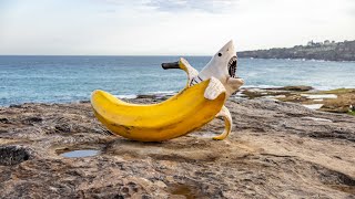 Sculpture by the Sea  2024  Bondi Sydney Australia  full tour in 4K [upl. by Naiviv]