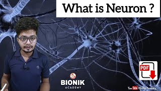 What are Neurons  by Nikhil Sir  BioNik Academy [upl. by Ekalb425]