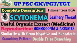 SCYTONEMA Complete Theoritical DescriptionBGA [upl. by Herve]