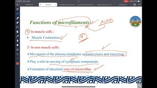 ZU Cytoskeleton Lecture [upl. by Natsreik915]