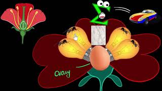 Flower Parts of stamen carpel  How do organisms reproduce  Biology  Khan Academy [upl. by Okomot479]