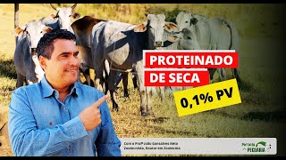 Como fazer proteinado de seca 01 PV [upl. by Xyno]