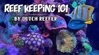 Reef Keeping 101  Coral Warfare amp Aggression [upl. by Akcirahs221]