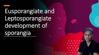 Eusporangiate and Leptosporangiate Development of Sporangia  Part 1 [upl. by Jezrdna]