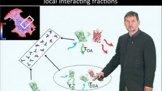 Microscopy Fluorescence Lifetime Imaging Microscopy FLIM Philippe Bastiaens [upl. by Assisi]