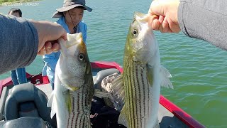 Fishing Striped Bass  San Luis Reservoir 9222024 [upl. by Nylinnej982]