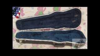 Violin Gun Case by FirearmPop [upl. by Lucilia817]