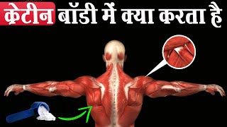 30 दिन क्रेटीन लेने से बॉडी मे क्या होगा  What Happens to Your Body On Creatine [upl. by Retrac]