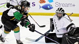 Highlights from North York Storm vs Intrépide de lOutaouais at the 2024 Esso Cup [upl. by Teleya]