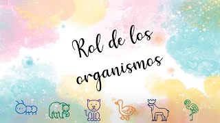 Organismos [upl. by Lleon]