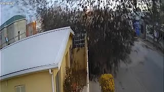 Video captures flock of birds suddenly falling from the sky in Mexico [upl. by Ahse616]