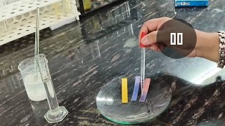 Calcium Oxide reacts with water  Calcium Hydroxide Lime Water  CBSE science experiment [upl. by Yekcim]