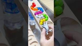 Marble runs with extremely rolling slopes marblerun marblerunrace asmr [upl. by Sivraj466]