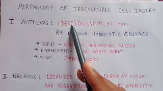 Autolysis of cell  Autolysis in pathophysiology  morphology of irreversible cell injury [upl. by Gehlbach]