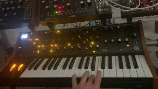 Moog subsequent 37 amp Manis Iteritas Alia [upl. by Lore741]