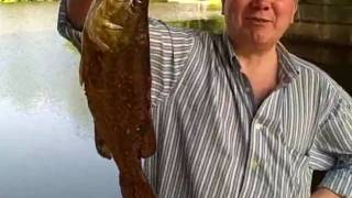 Fishing Beneath the New Jersey Turnpike  Wild Kingdom [upl. by Ahsilif622]