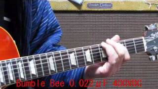 Sprague Bumble Bee amp Black Beautywmv [upl. by Wagshul]