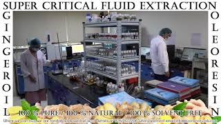 Super Critical Fluid Extraction Ginger Oil Oleoresin amp Essential Oil SCFE [upl. by Alilak]